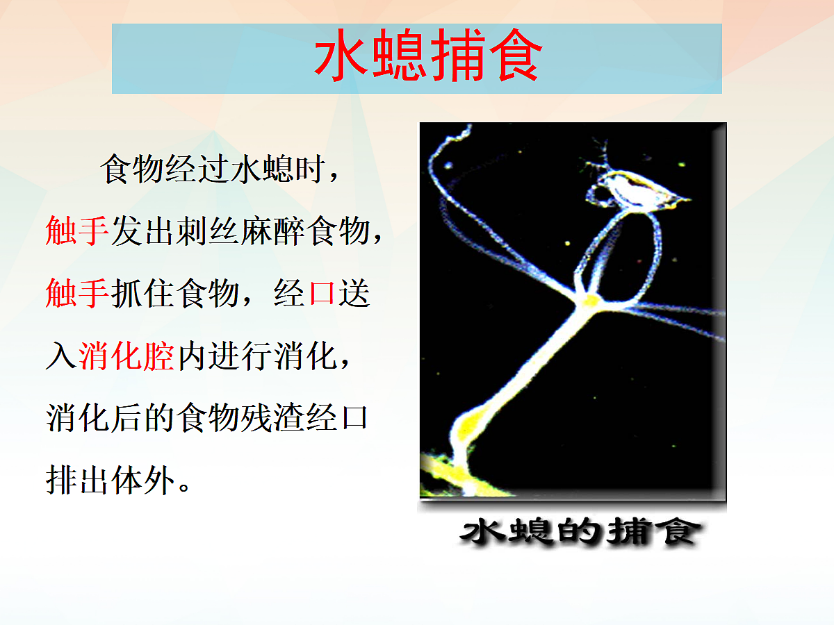 18058916第6页