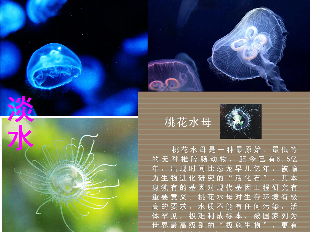 18058916第8页