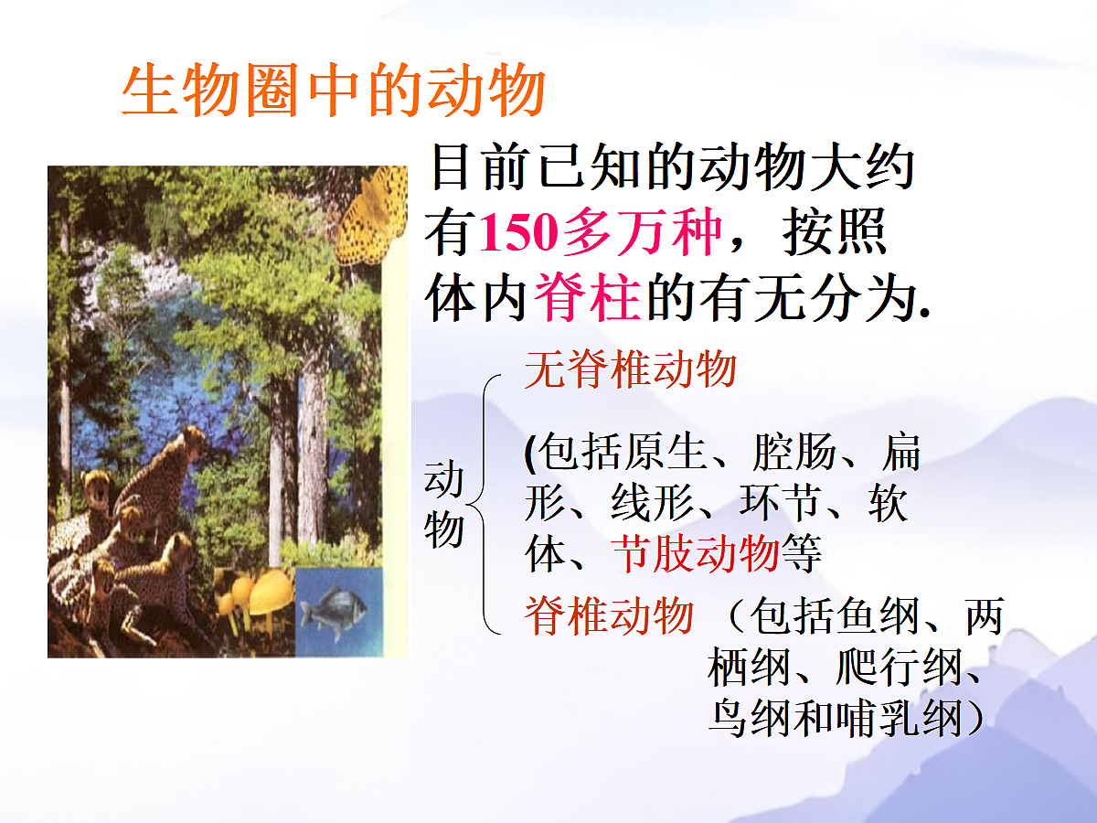 18058929第4页
