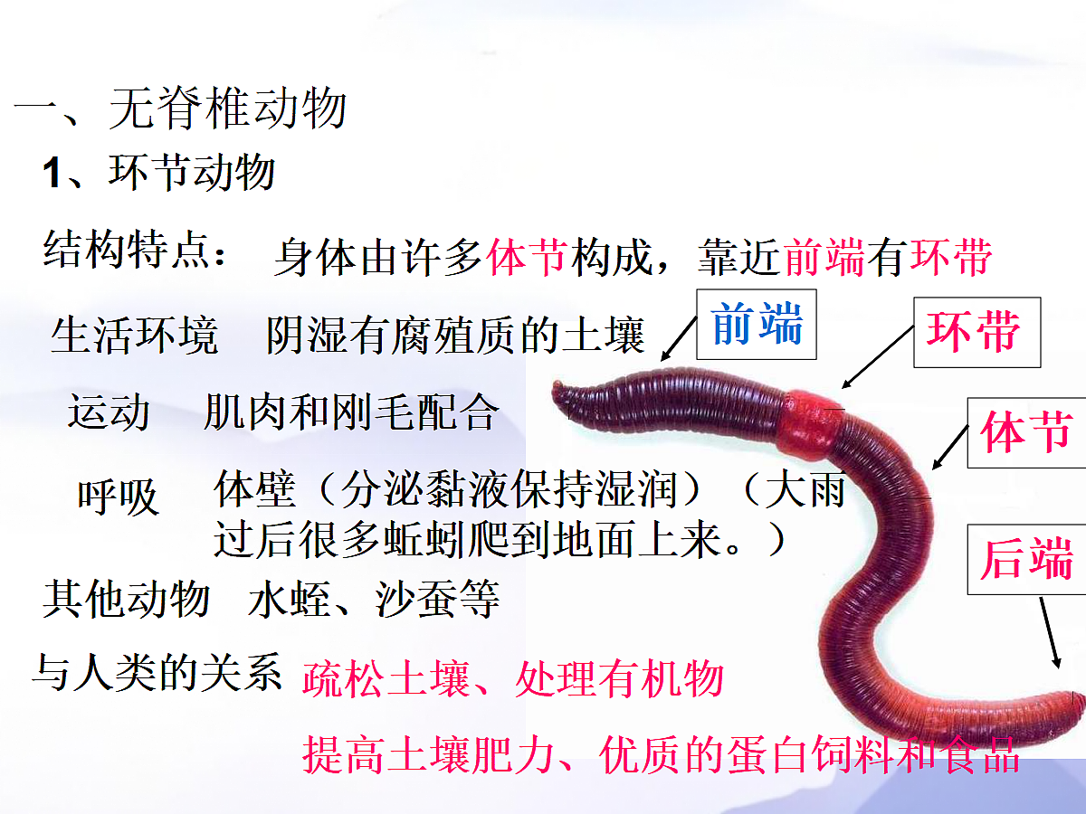 18058929第5页