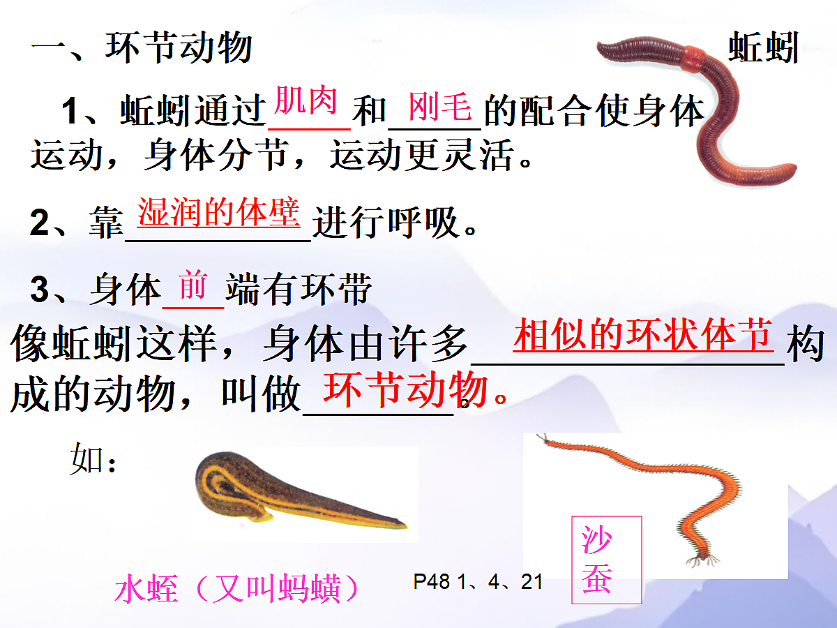 18058929第7页