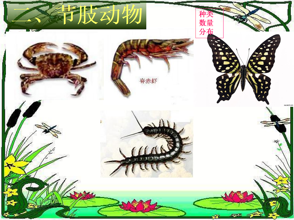 18058929第8页