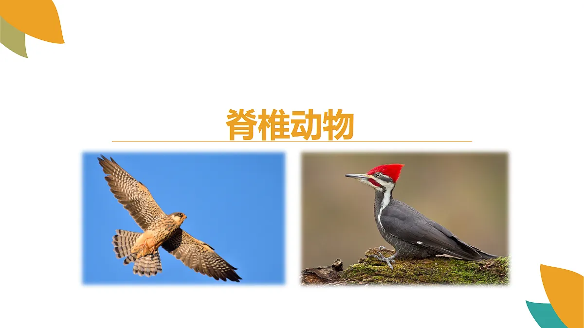 18058937第1页