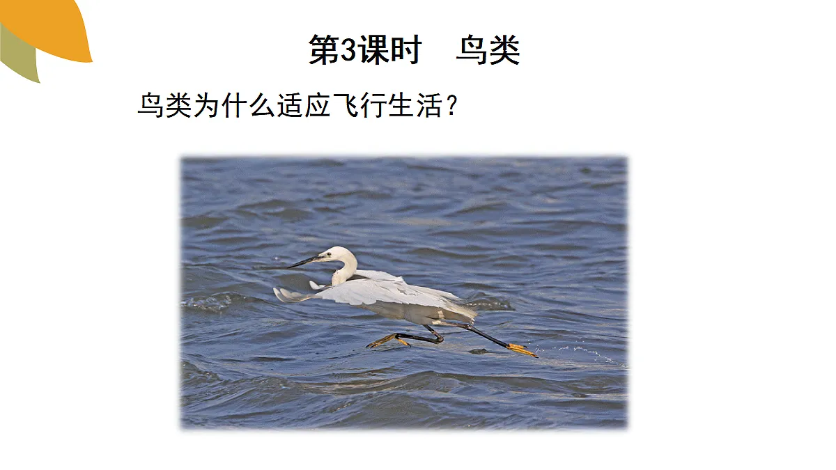 18058937第5页