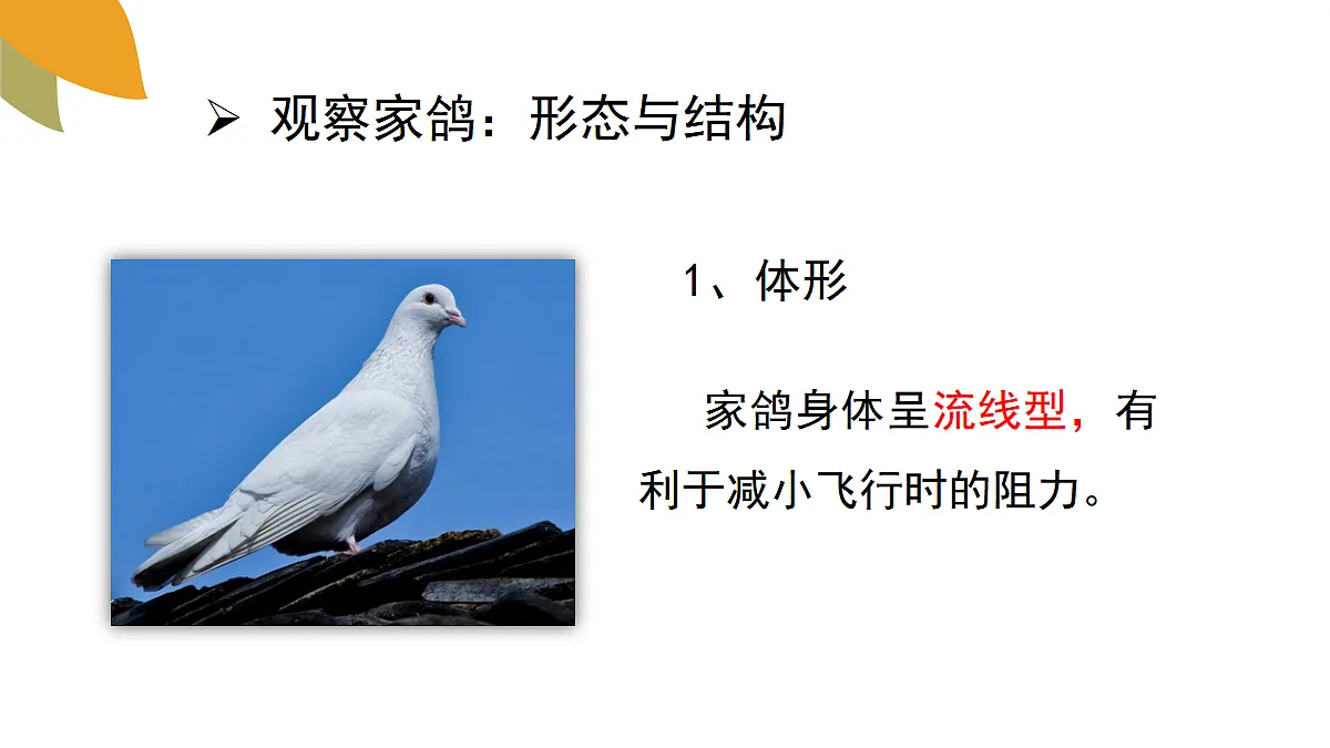18058937第6页