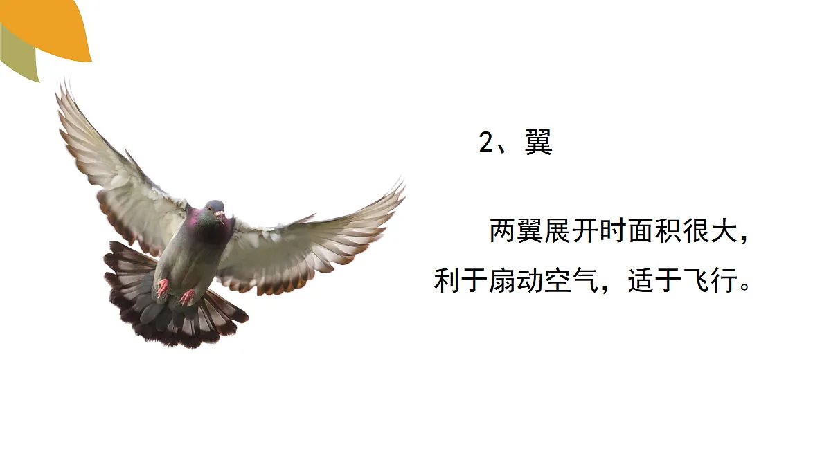 18058937第7页