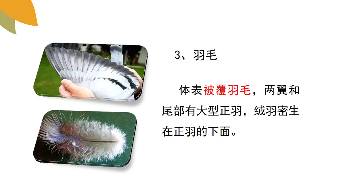 18058937第8页