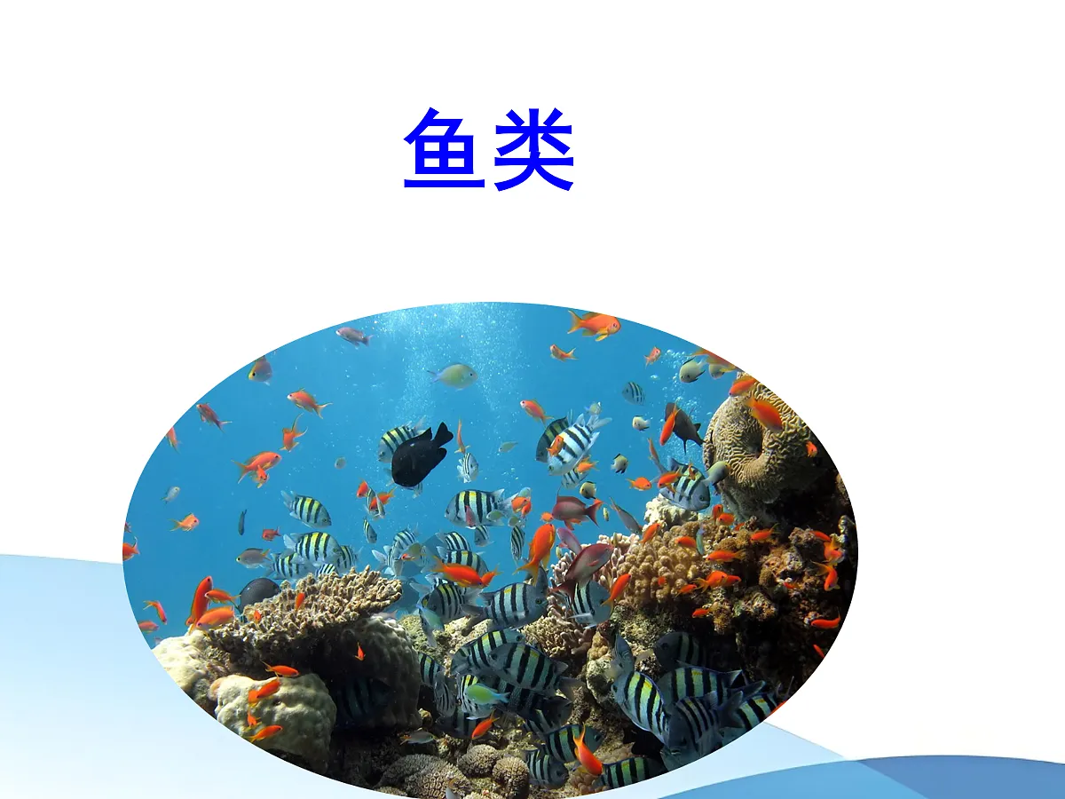 18058938第4页