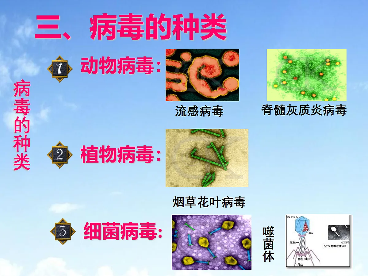 18060125第8页