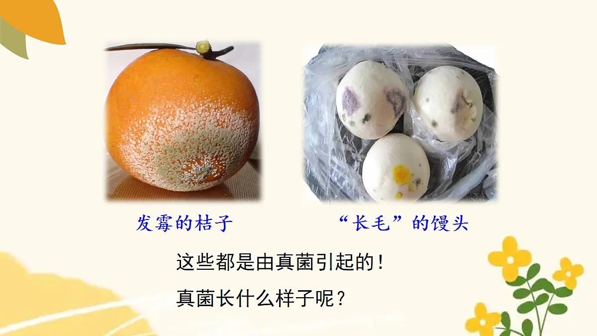 18060127第4页
