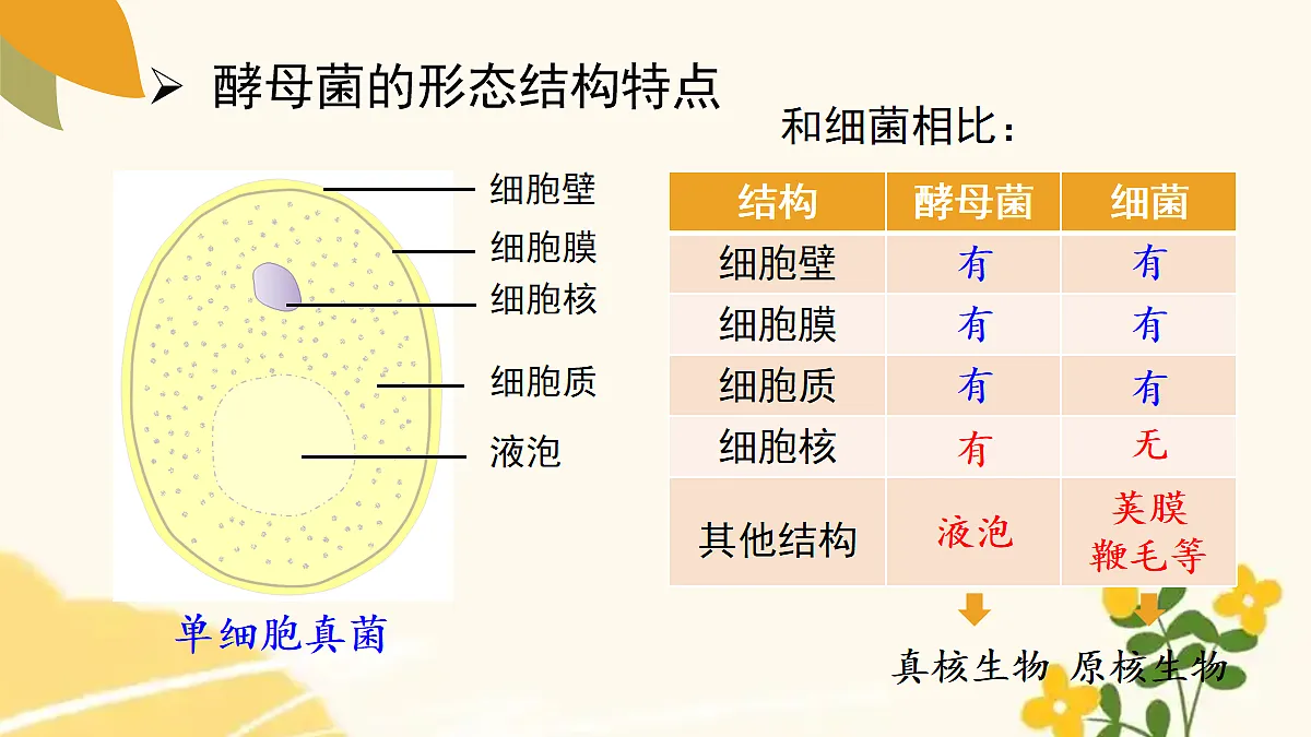 18060127第8页