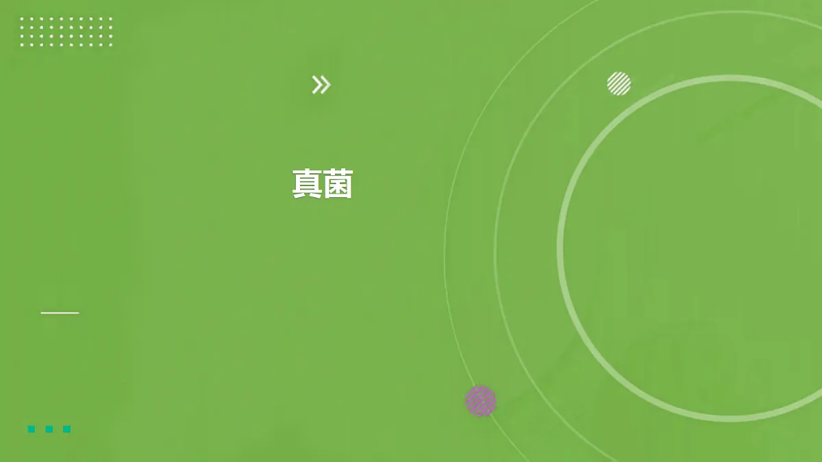18060128第1页