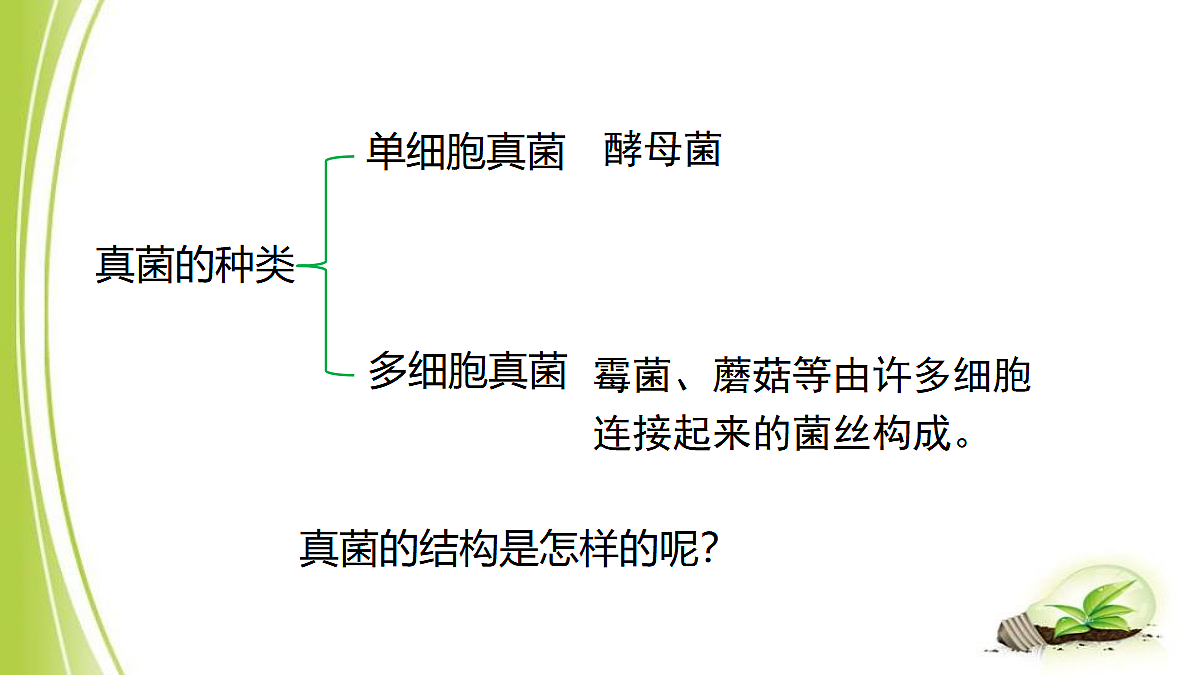 18060132第7页