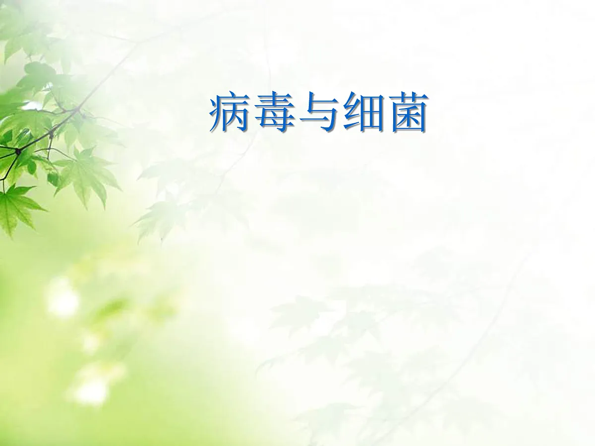 18060142第1页