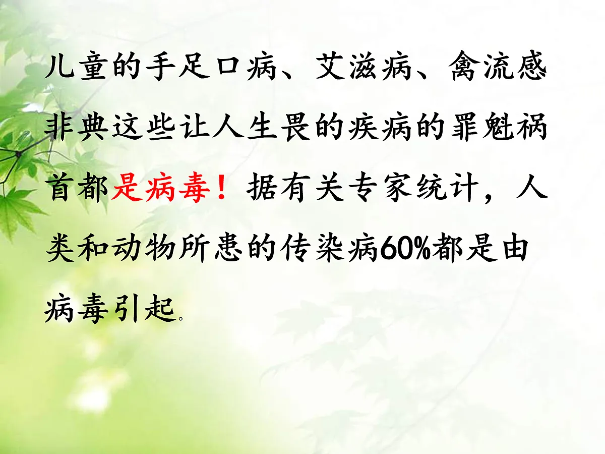 18060142第4页