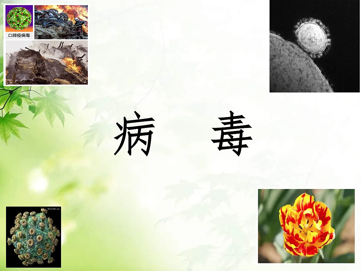 18060142第5页