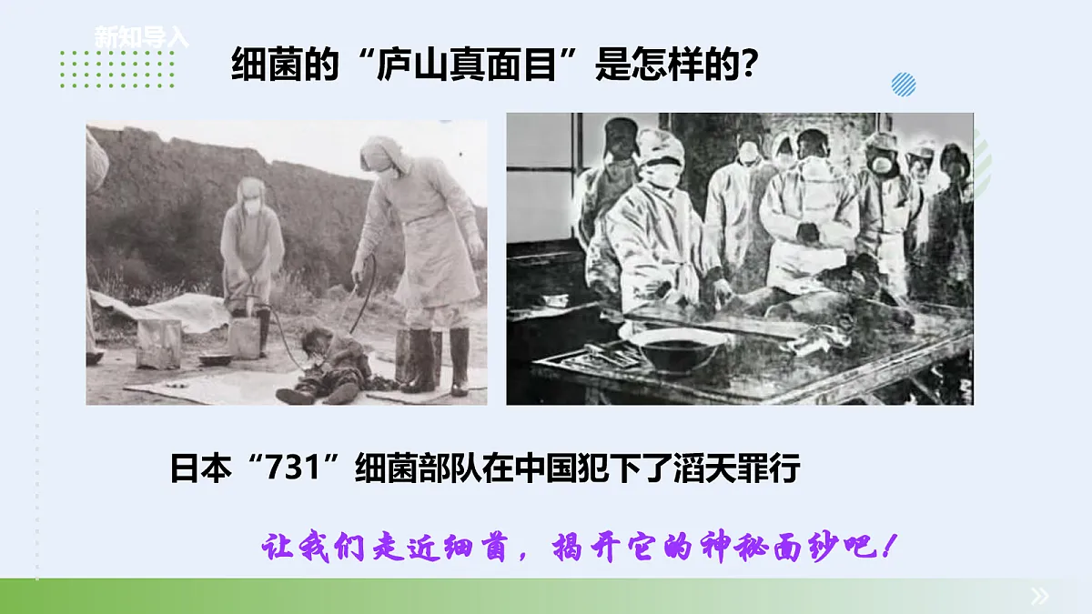 18060145第4页