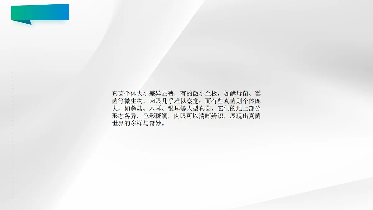 18060146第5页