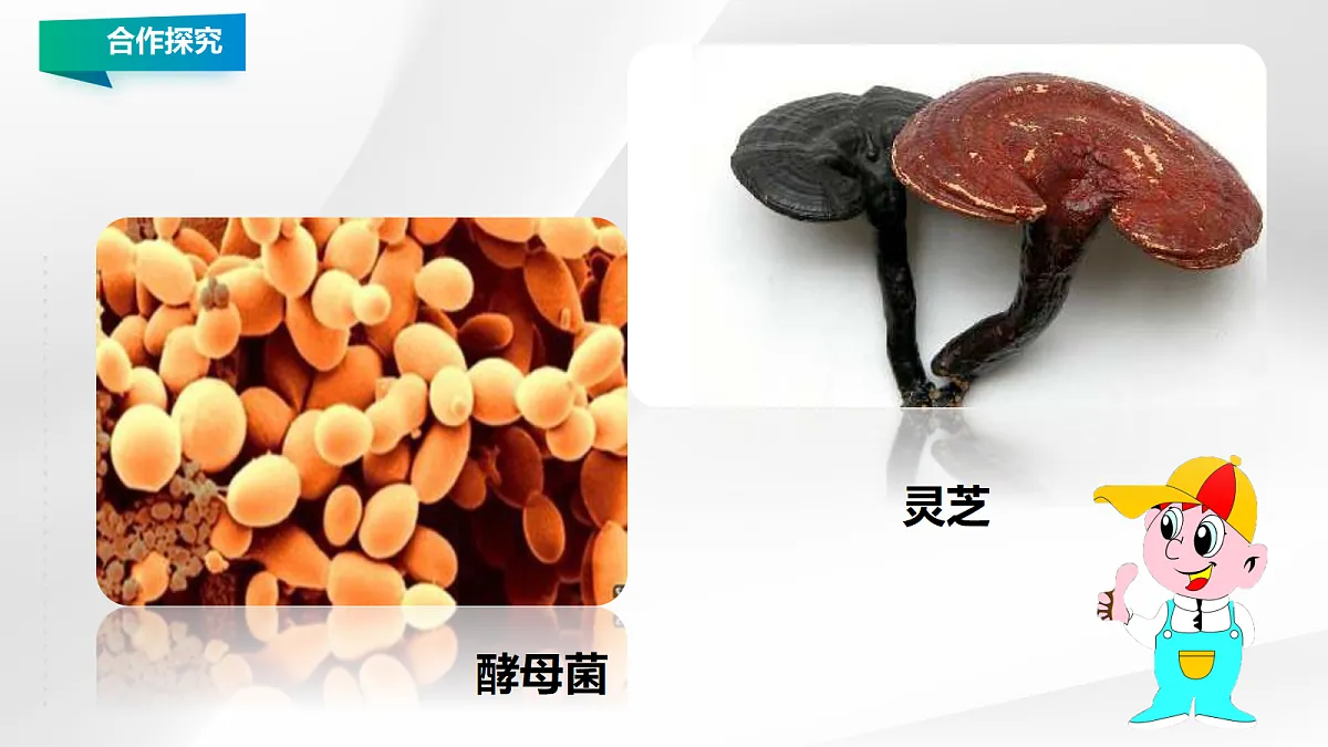 18060146第7页