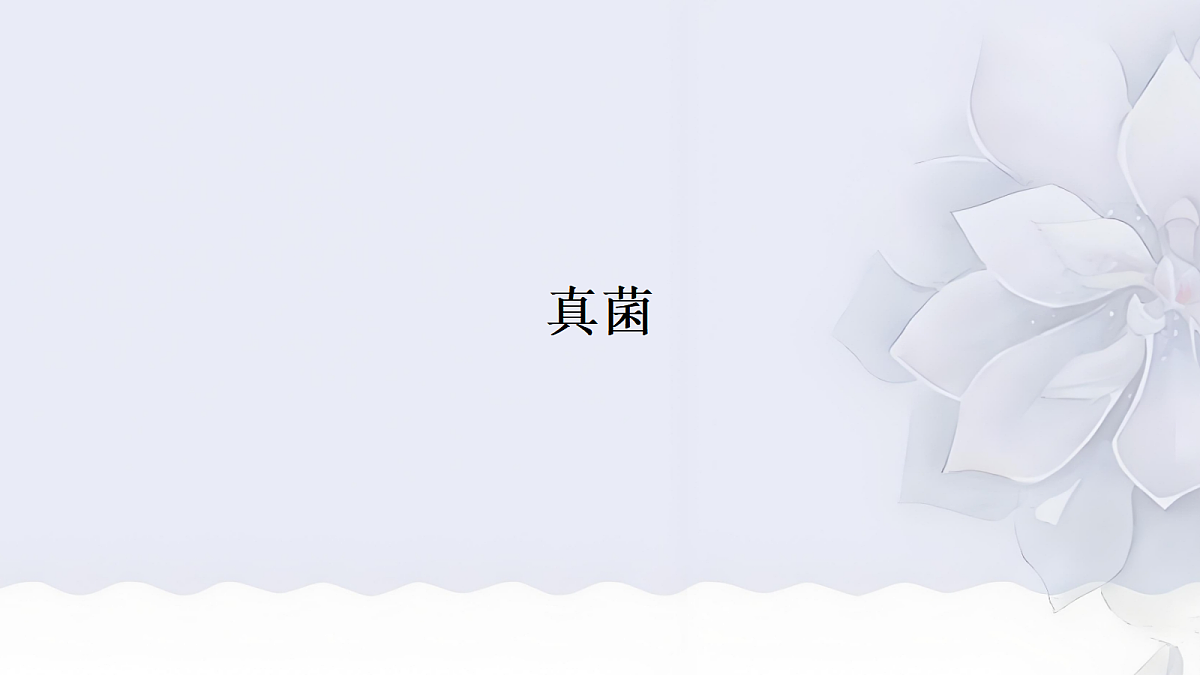18060147第1页