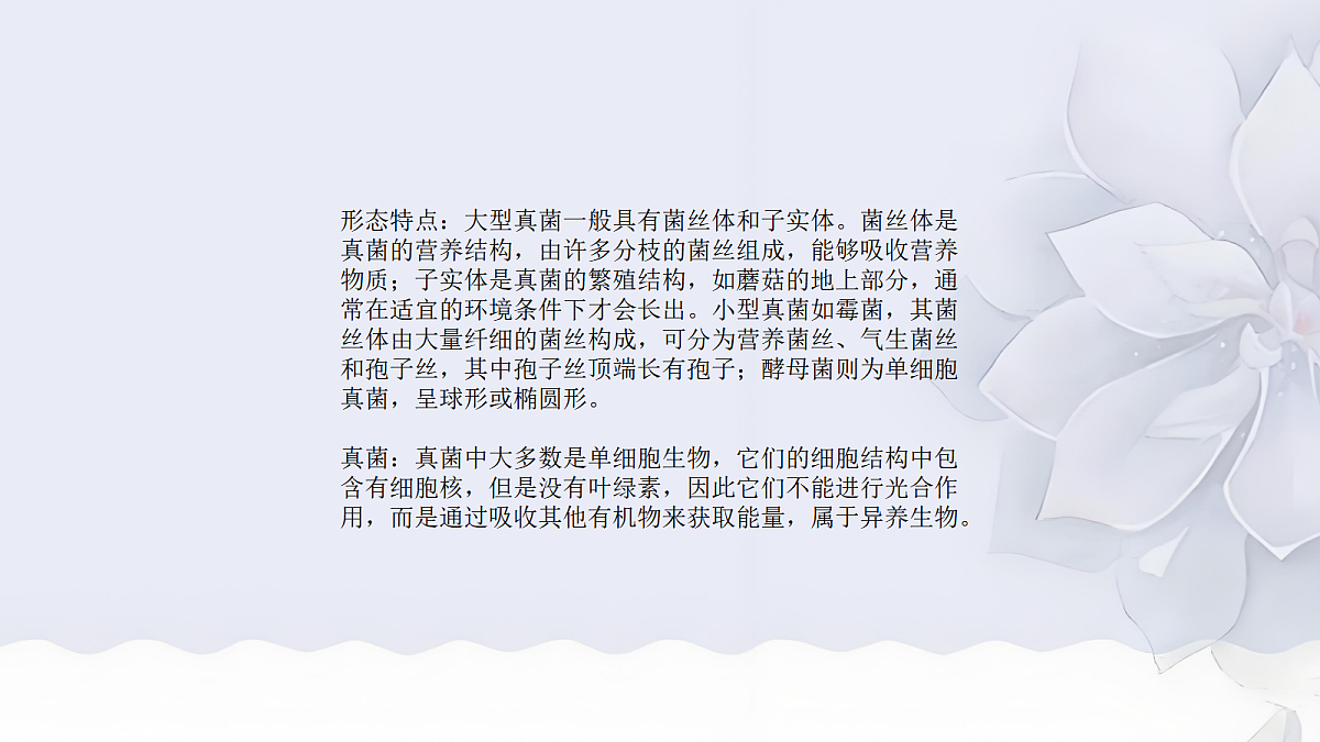 18060147第5页