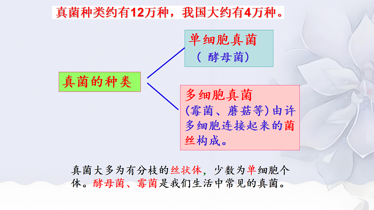 18060147第6页