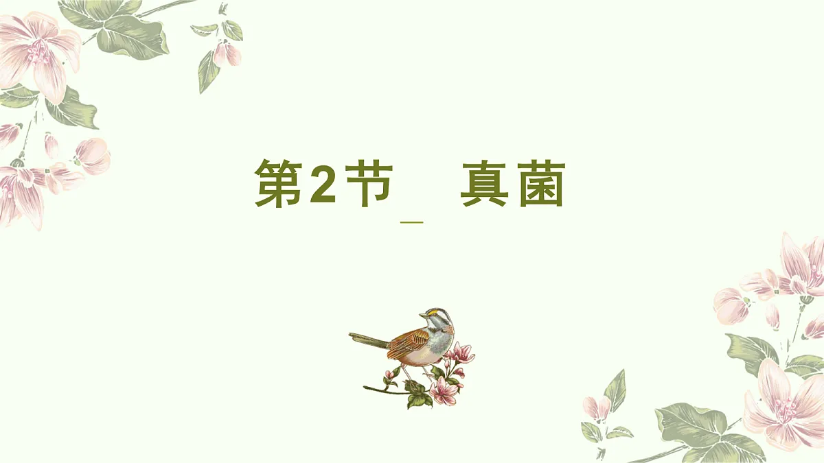 18060148第1页