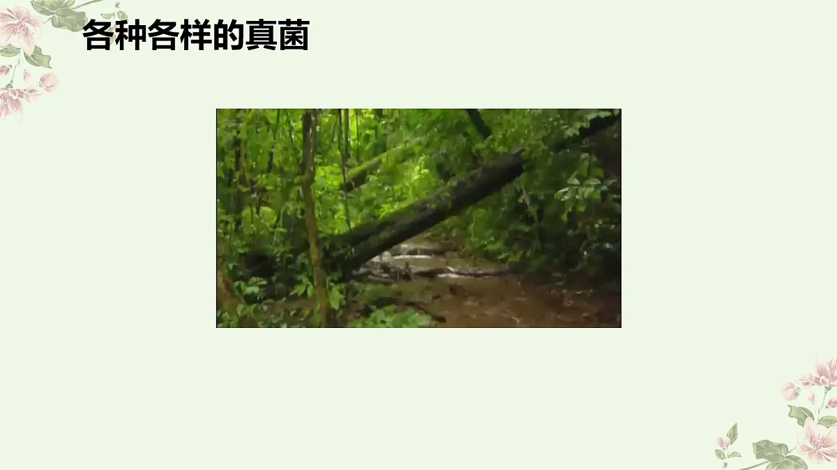 18060148第6页