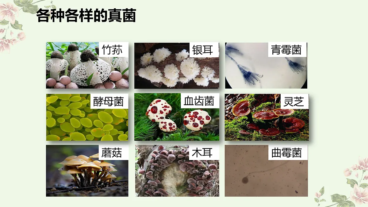 18060148第7页