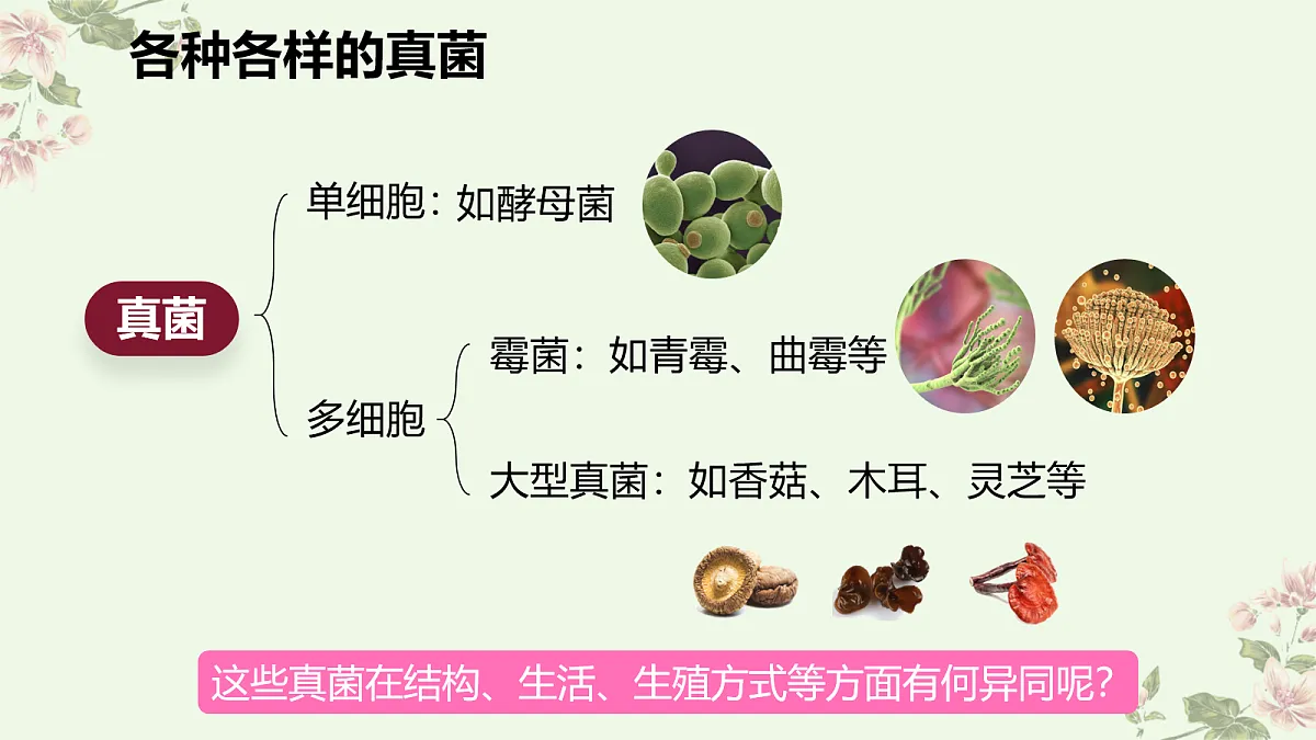 18060148第8页