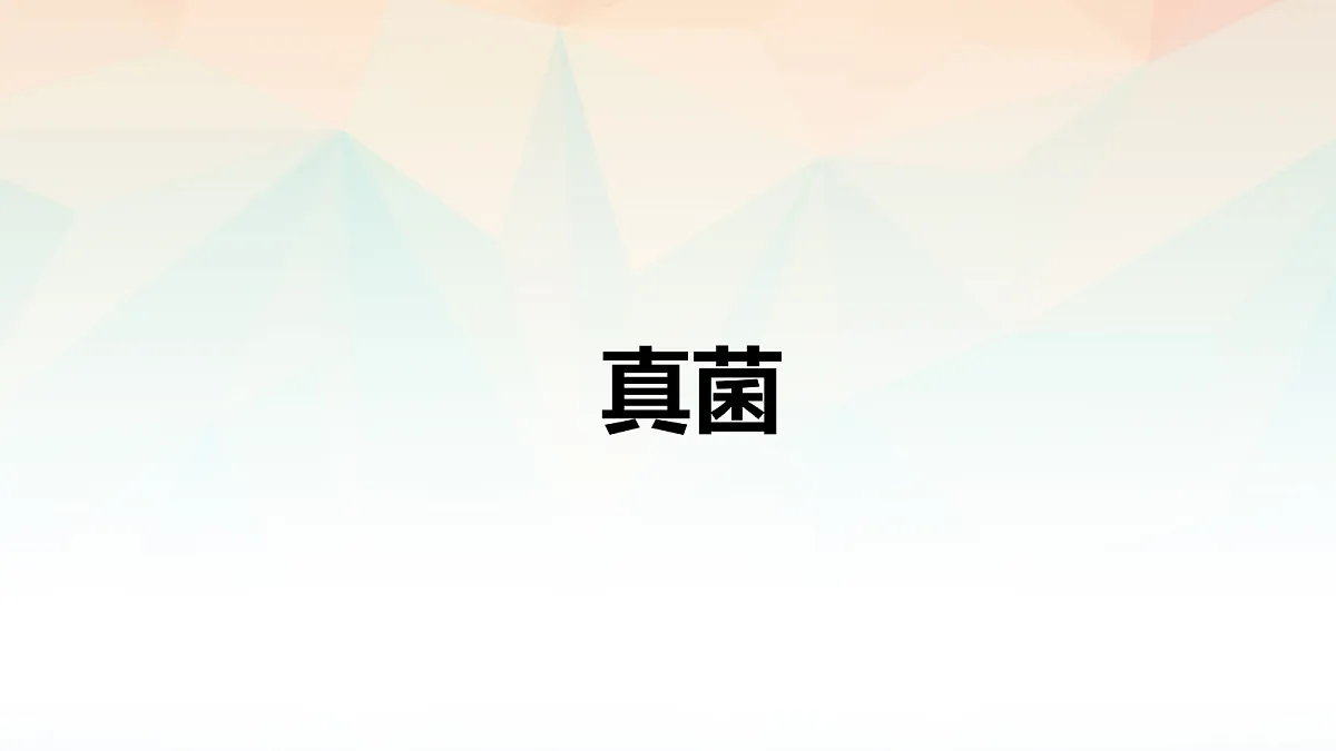 18060152第1页