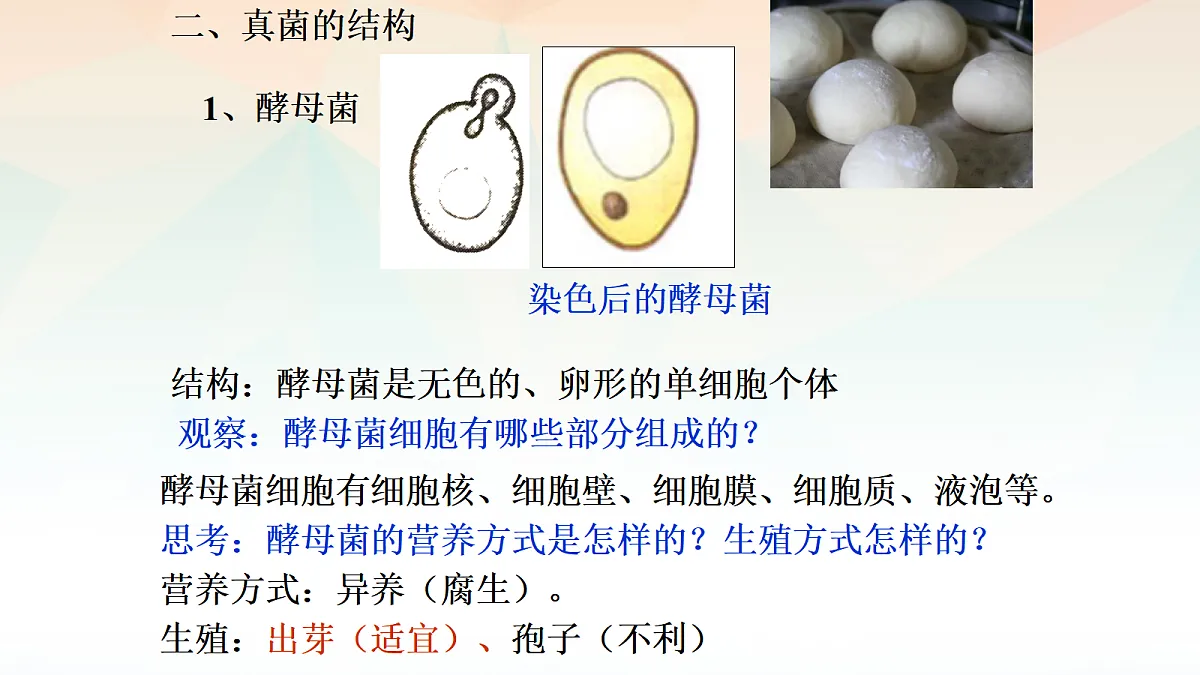 18060152第6页