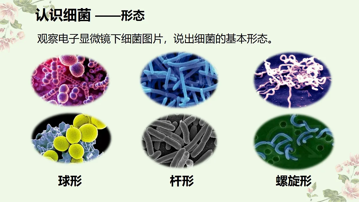 18060153第7页