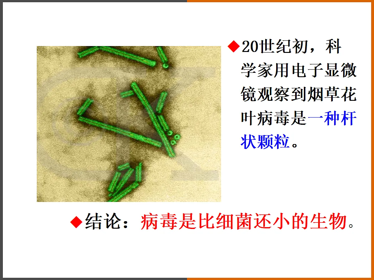 18060154第7页
