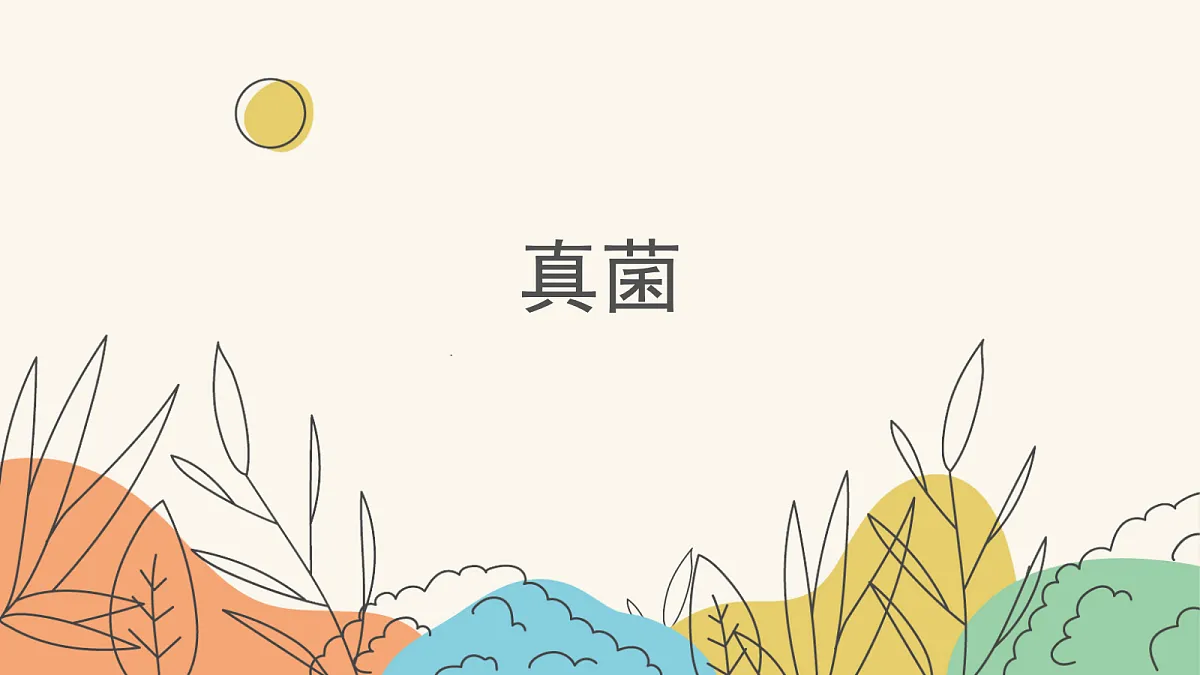 18060156第1页