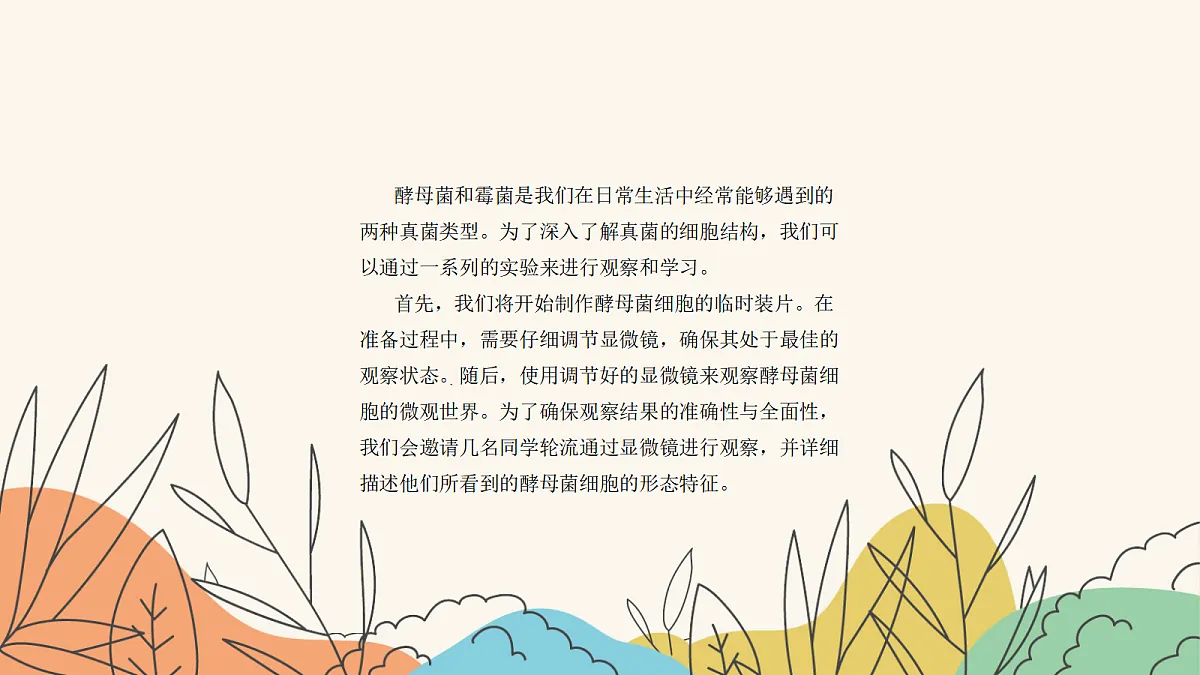18060156第4页