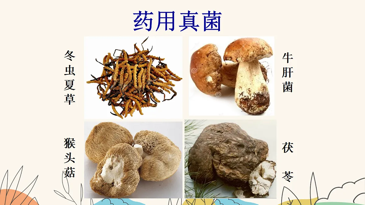 18060156第5页