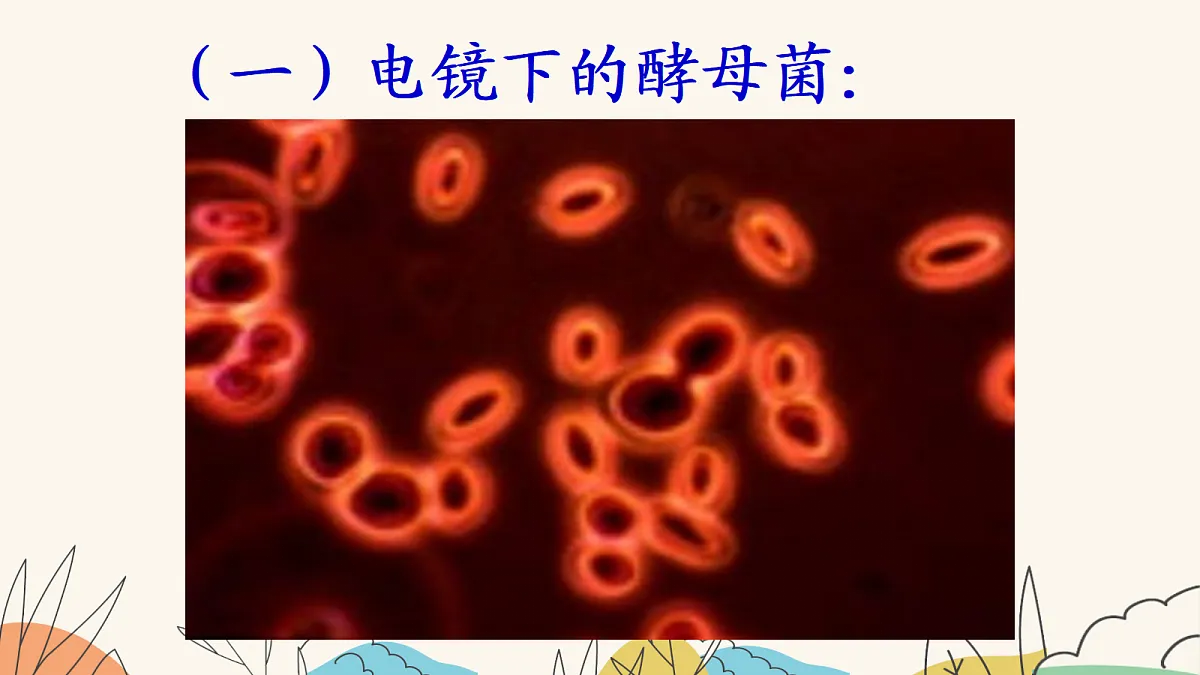 18060156第6页