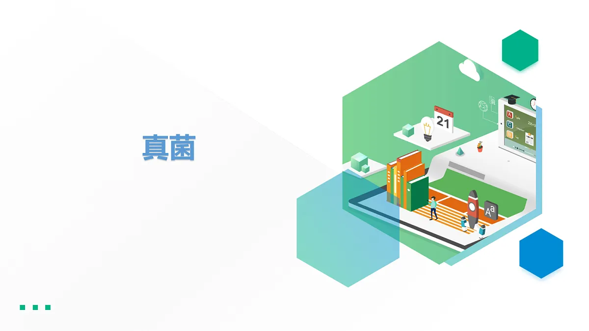 18060164第1页