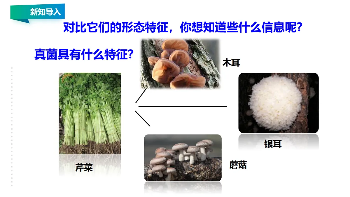 18060164第5页