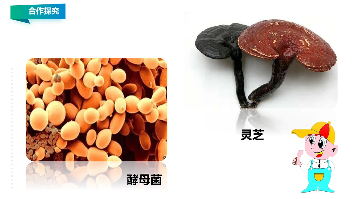 18060164第7页