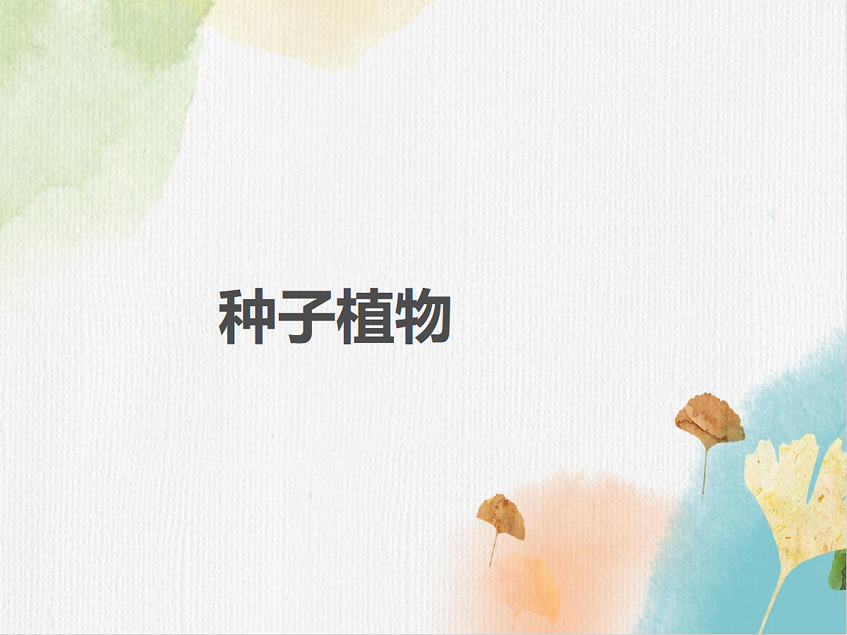 18060165第1页