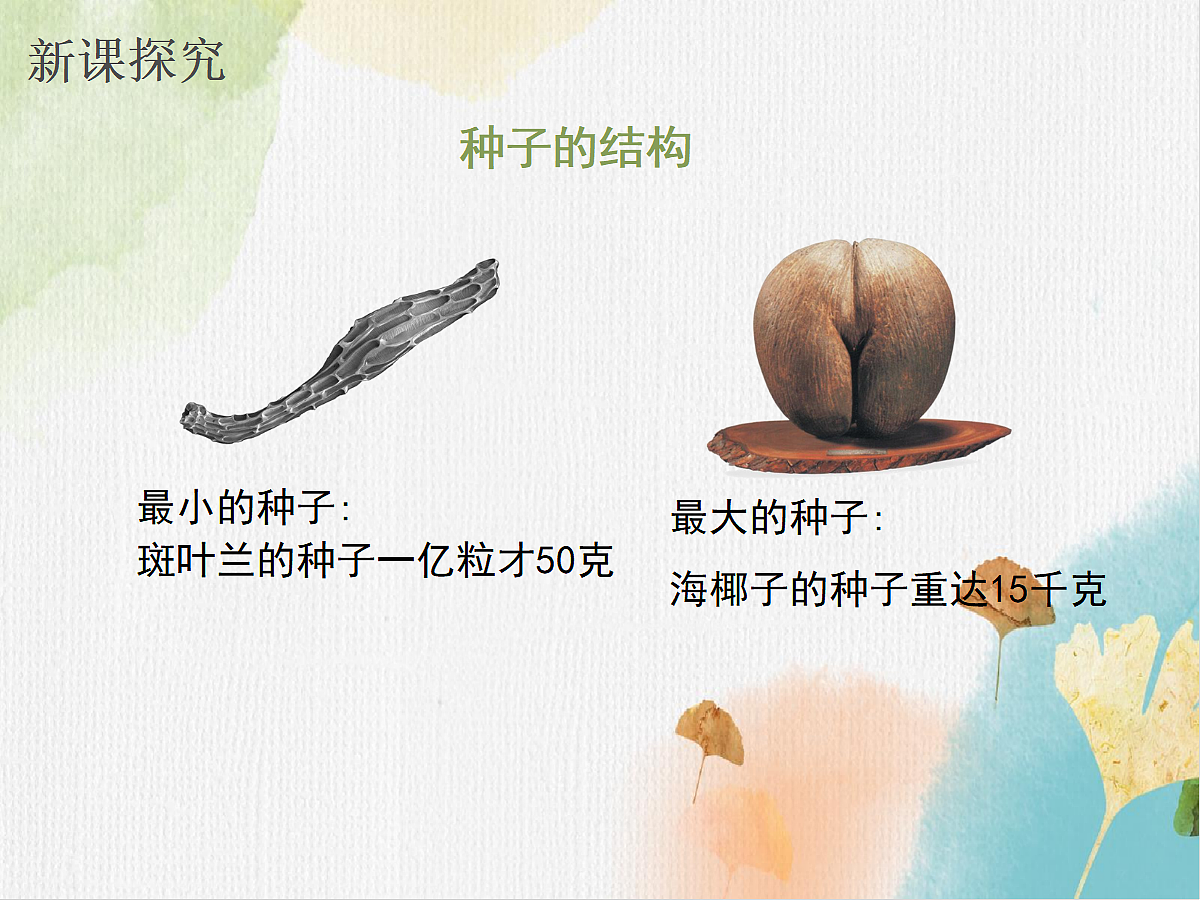 18060165第5页