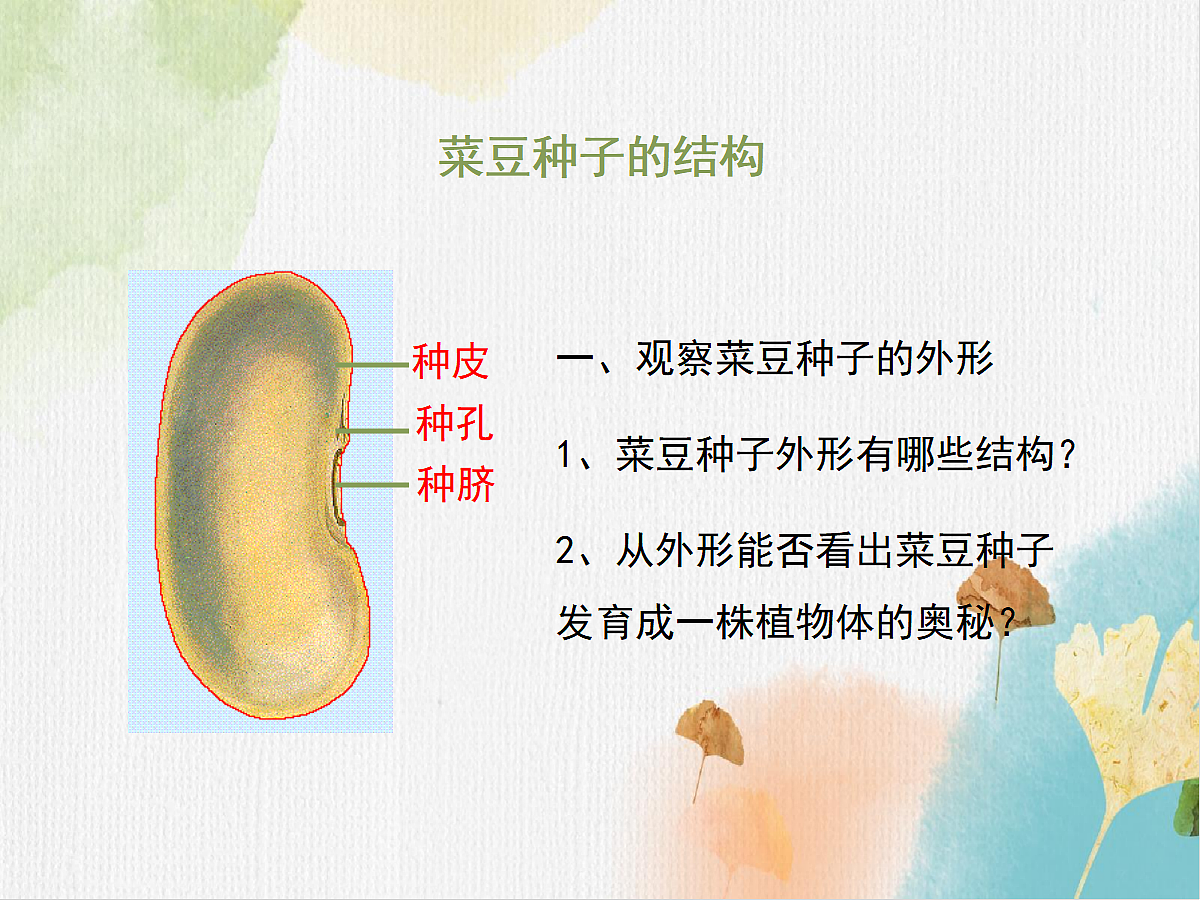 18060165第7页