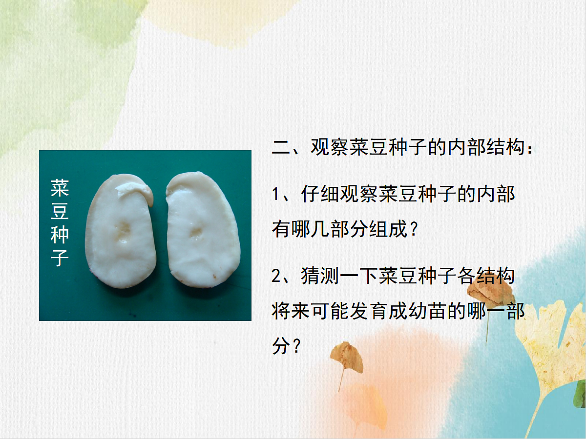 18060165第8页