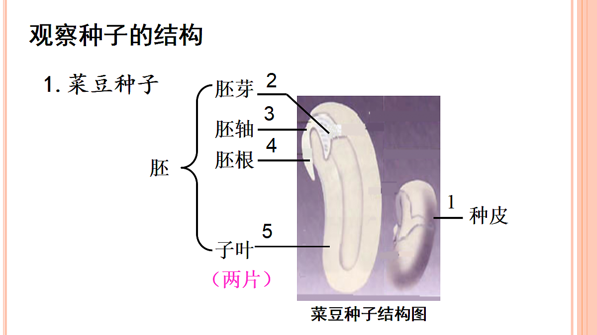 18060166第4页