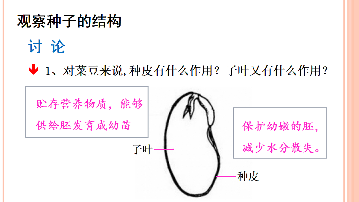 18060166第5页