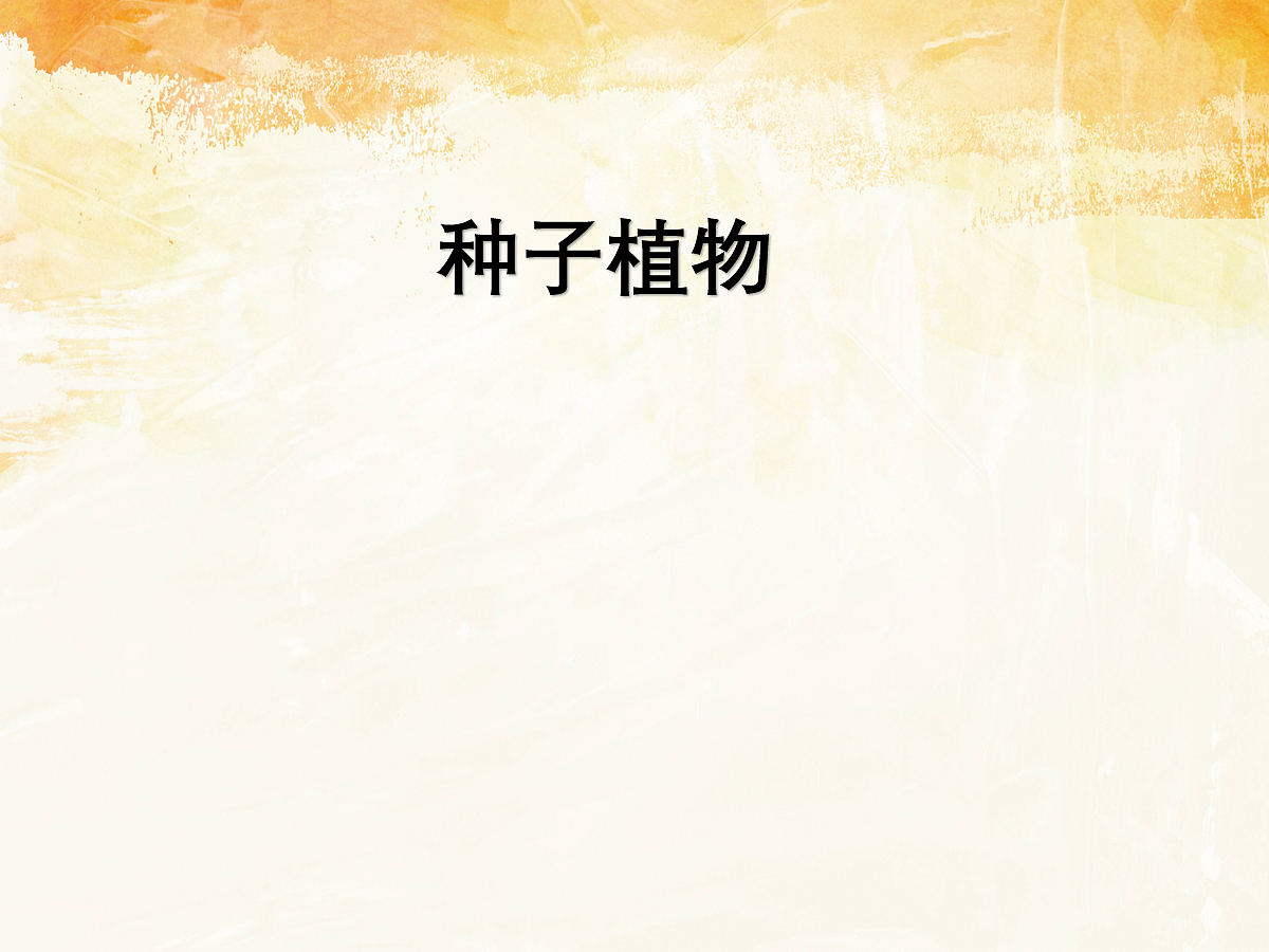 18060167第1页