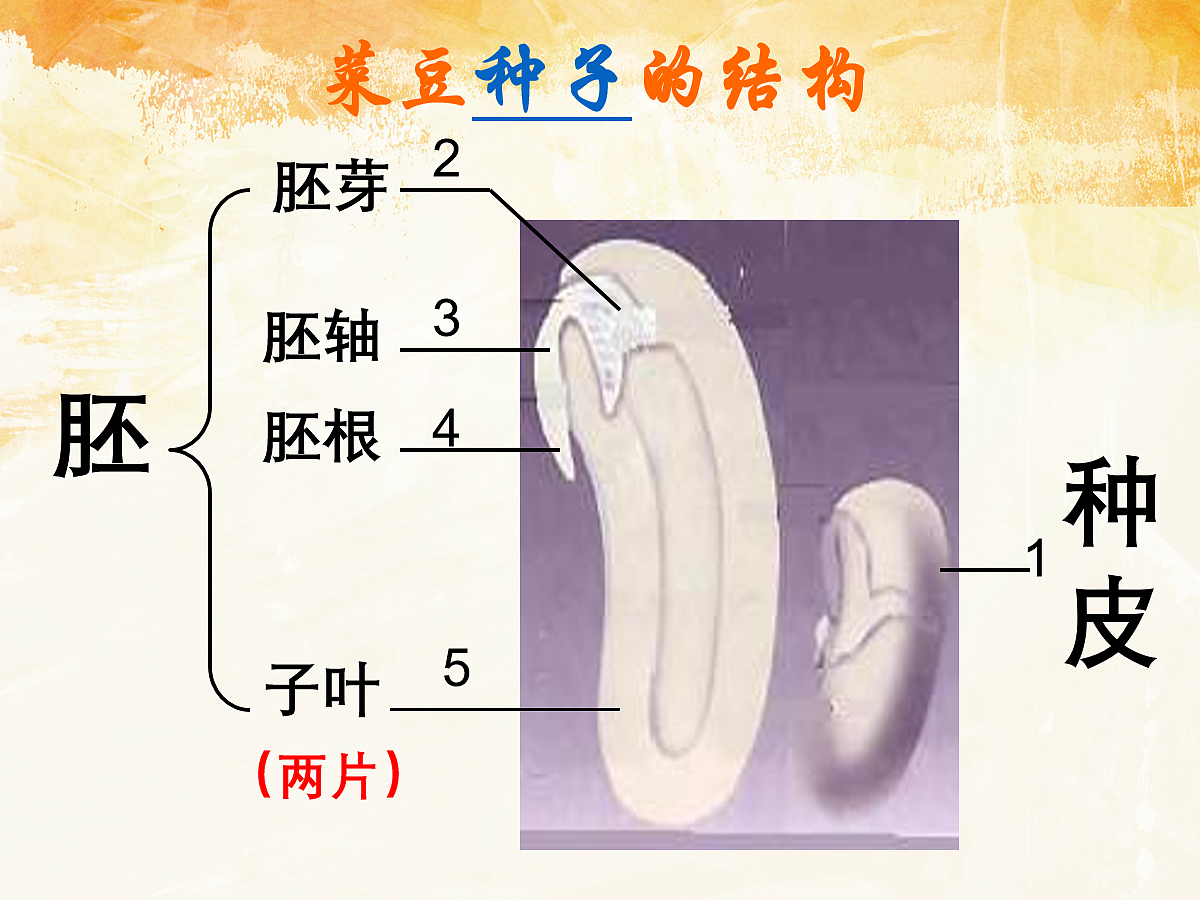 18060167第8页