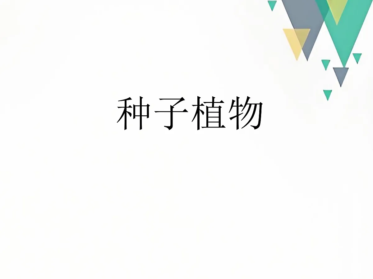 18060169第1页